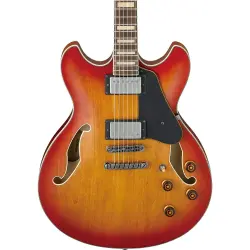 Ibanez ASV73-VAL / AS Elektro Gitar - 3