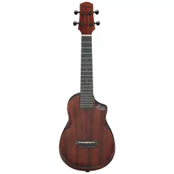Ibanez AUC14-OVL Concert Ukulele - Ibanez