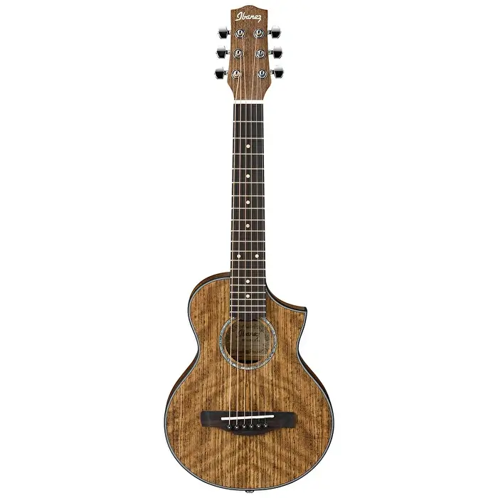 Ibanez EWP14WB-OPN Acoustic Guitar - 1