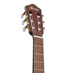 Ibanez FRH10N-IBF Thinline Elektro Klasik Gitar - 4