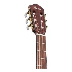 Ibanez FRH10N-IBF Thinline Elektro Klasik Gitar - 4
