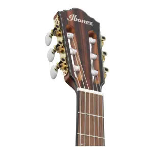 Ibanez FRH10N-NTF Thinline Elektro Klasik Gitar - 4