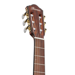 Ibanez FRH10N-RGF Thinline Elektro Klasik Gitar - 4
