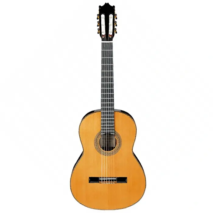 Ibanez G850-NT G Serisi Natural Klasik Gitar - Ibanez