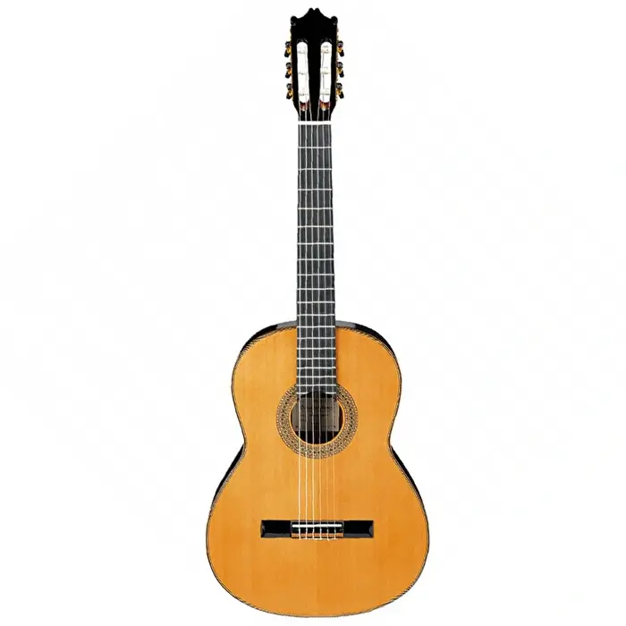 Ibanez G850-NT G Serisi Natural Klasik Gitar - 1