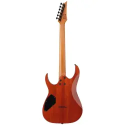 Ibanez GRGR221FA-TDK GRG Serisi Elektro Gitar - 2
