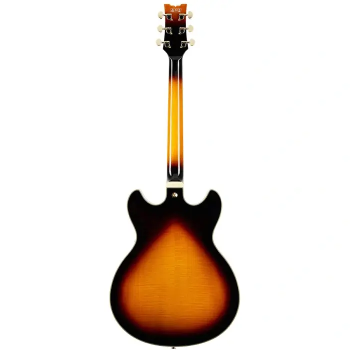 Ibanez JSM10-VYS Elektro Gitar (Case Dahil) - 2