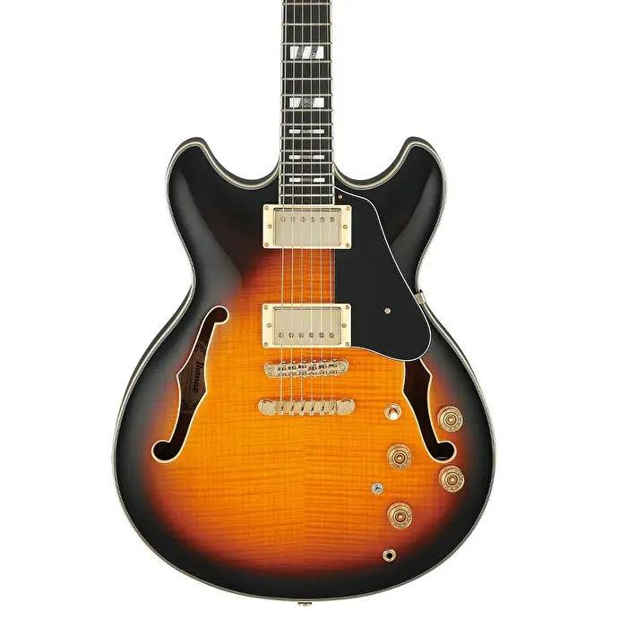 Ibanez JSM10-VYS Elektro Gitar (Case Dahil) - 3