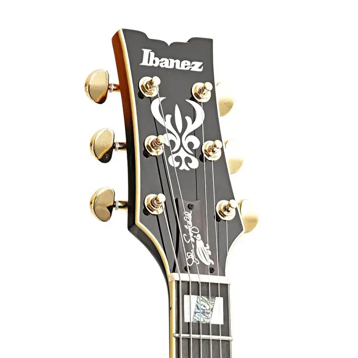 Ibanez JSM10-VYS Elektro Gitar (Case Dahil) - 4