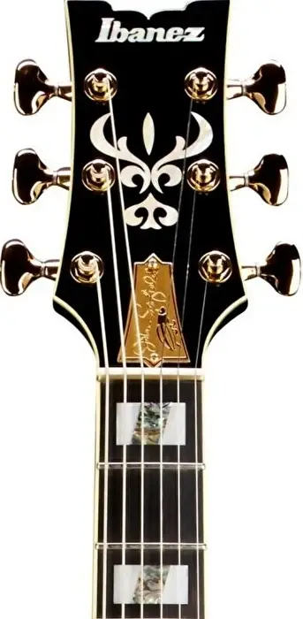 Ibanez JSM100-VT Elektro Gitar (Case Dahil) - 2