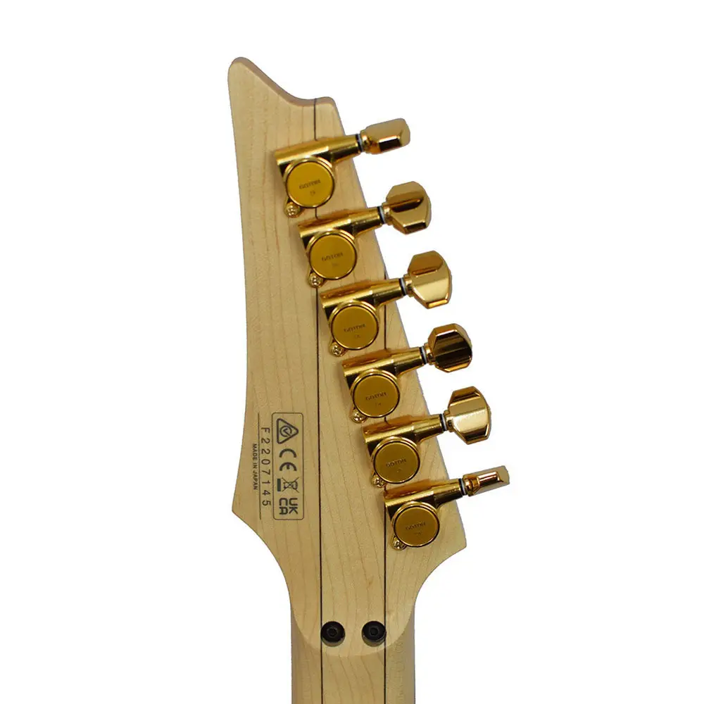 Ibanez PIA3761-XB Steve Vai Signature Serisi Elektro Gitar - 5
