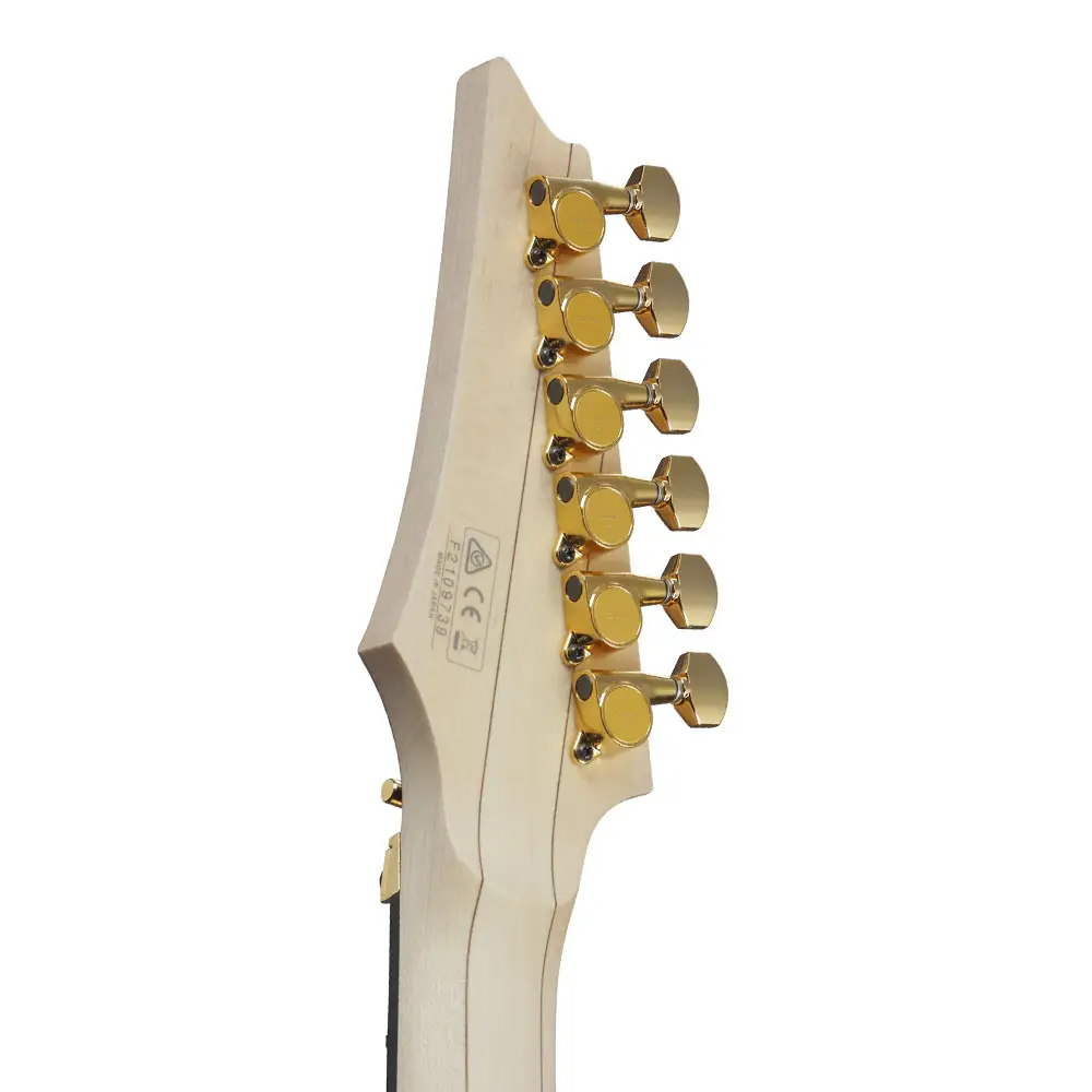 Ibanez RGA622XH-BK RGA Prestige/Axe Design Lab Serisi Elektro Gitar - 5