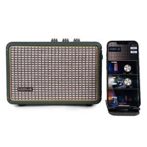 KOZMOS Aura-30 Uygulama ile Kontrol Edilebilen Akustik Enstrüman Amfisi ve Bluetooth Hoparlör - 2