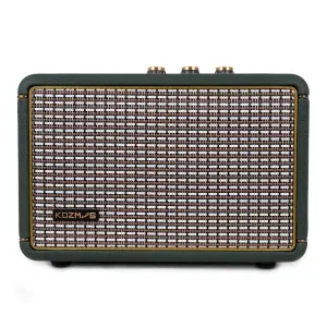 KOZMOS Aura-30 Uygulama ile Kontrol Edilebilen Akustik Enstrüman Amfisi ve Bluetooth Hoparlör - 3