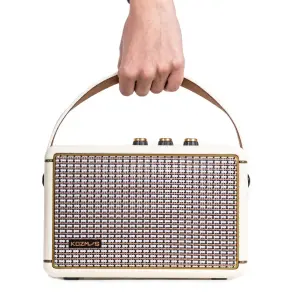 KOZMOS Blaze-30CR Uygulama ile Kontrol Edilebilen Elektro Gitar Amfisi ve Bluetooth Hoparlör - 5