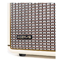 KOZMOS Blaze-30CR Uygulama ile Kontrol Edilebilen Elektro Gitar Amfisi ve Bluetooth Hoparlör - 11