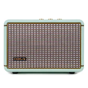 KOZMOS Blaze-30LG Uygulama ile Kontrol Edilebilen Elektro Gitar Amfisi ve Bluetooth Hoparlör - 3