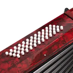 KOZMOS HC3448 H Serisi 34 Tuş-48 Bas Kırmızı Akordiyon - 5