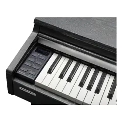 Kurzweil CUP-M1 Dijital Piyano (Gülağacı) - 6