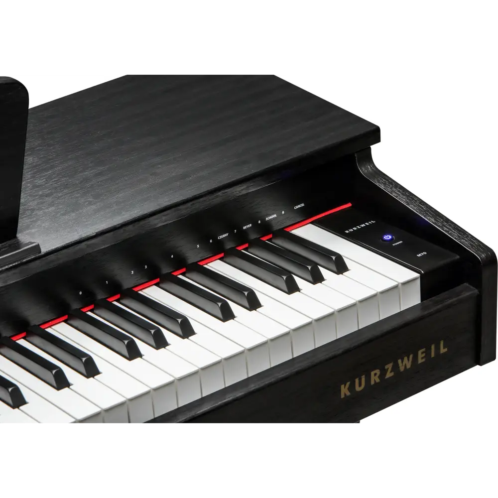 Kurzweil M70SR Dijital Piyano (Gülağacı) - 4