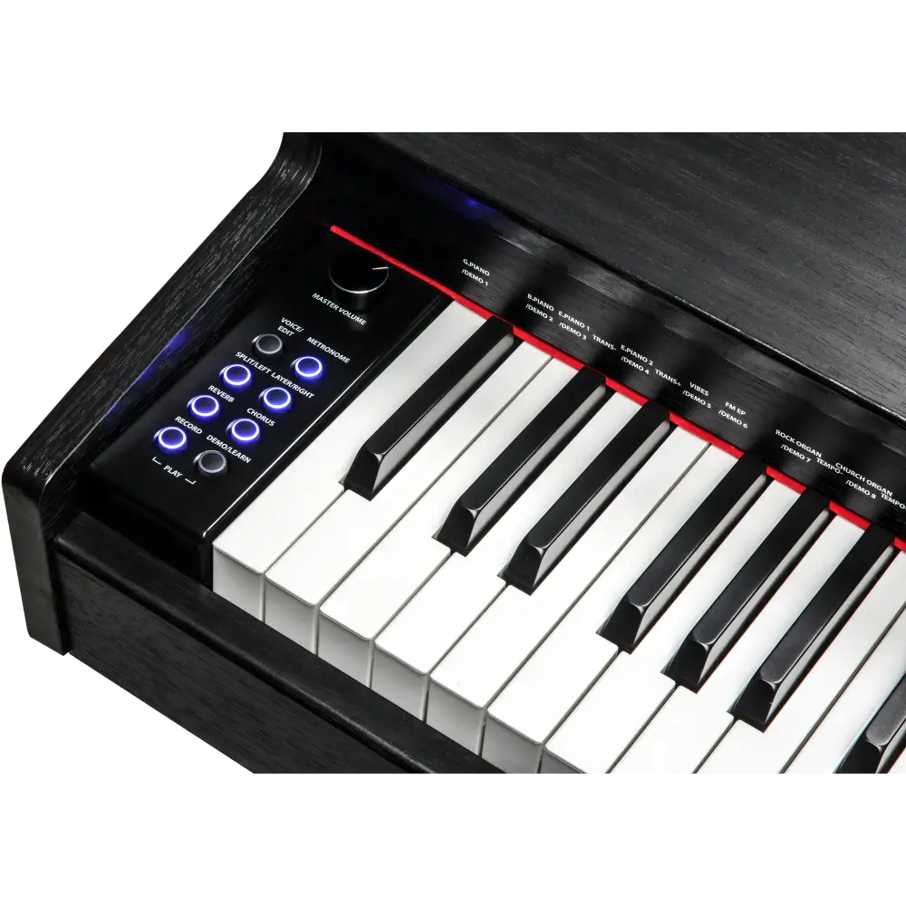 Kurzweil M70SR Dijital Piyano (Gülağacı) - 6