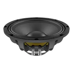 Lavoce WAN103.01 10 inç Neodimyum Magnet Woofer - Lavoce