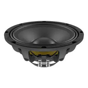 Lavoce WAN103.01 10 inç Neodimyum Magnet Woofer - 1
