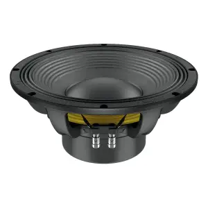 Lavoce WAN124.01 12 inç Neodimyum Magnet Woofer - 1