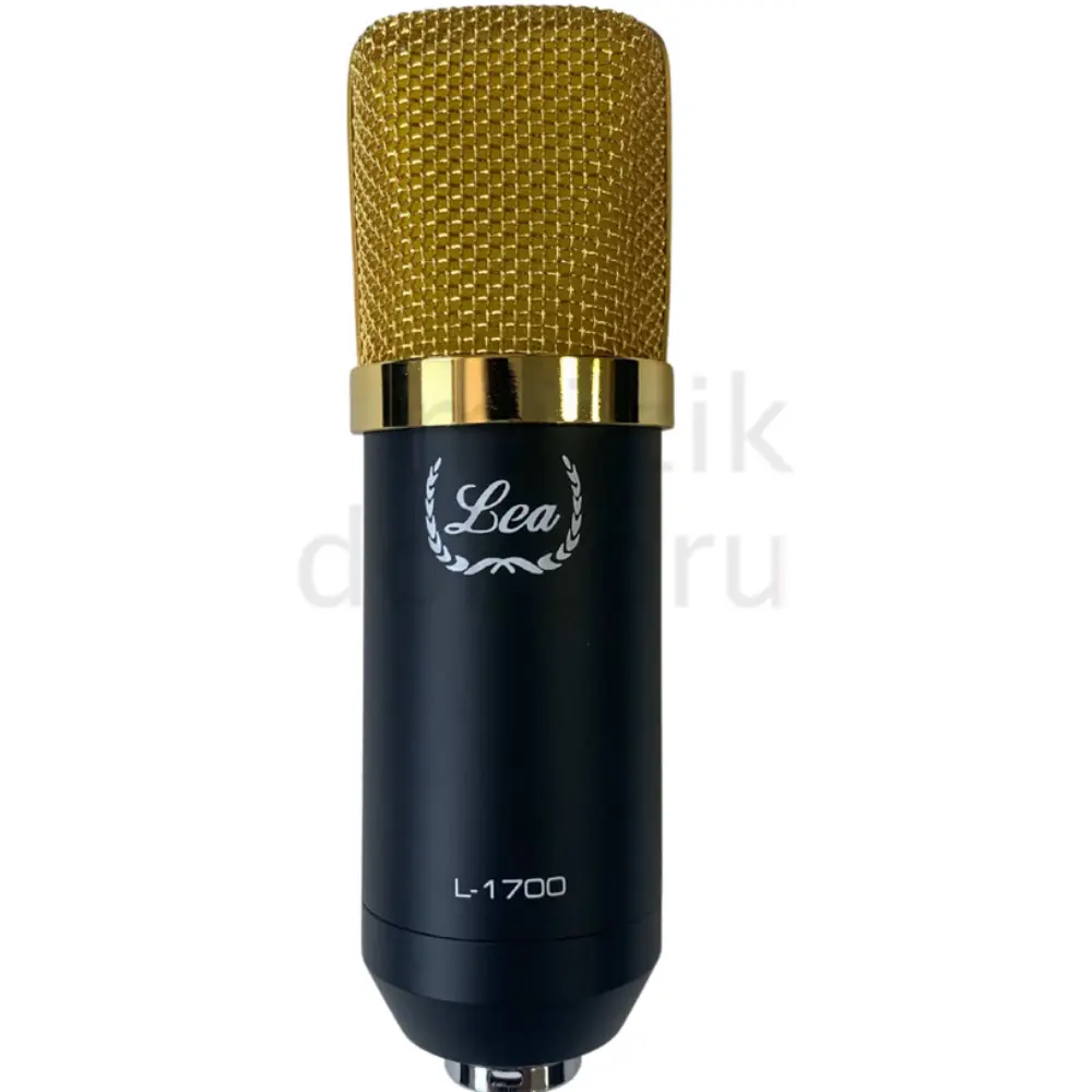 Lea L-1700 Condenser Yayın ve Kayıt Mikrofon Seti - 2