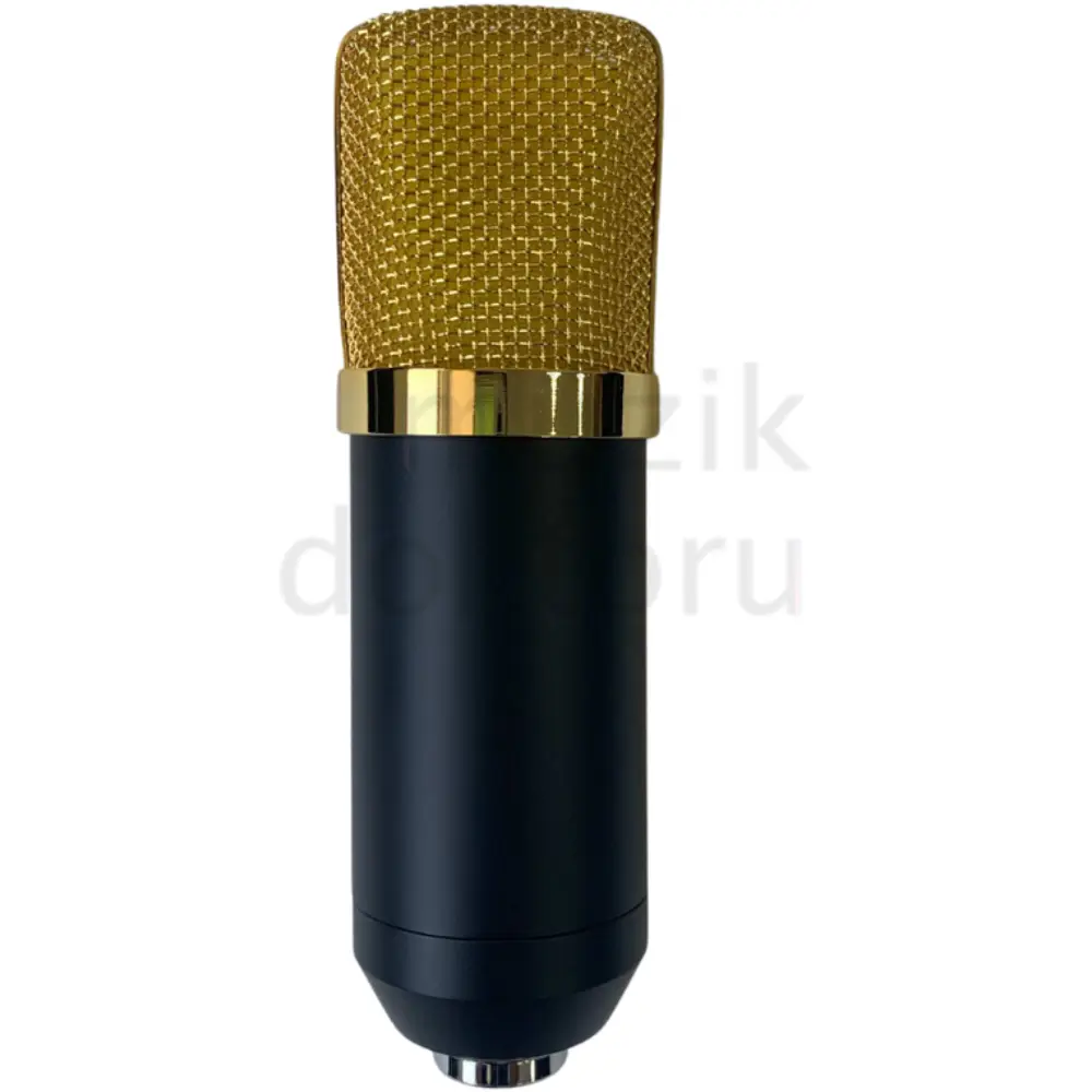 Lea L-1700 Condenser Yayın ve Kayıt Mikrofon Seti - 3