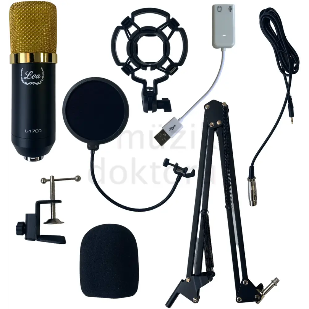 Lea L-1700 Condenser Yayın ve Kayıt Mikrofon Seti - 1
