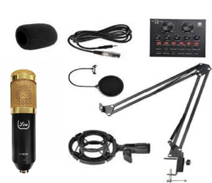 Lea L-1800A Condenser Mikrofon Seti ve V8 Ses Kartı - 1
