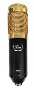 Lea L-2800A Condenser Mikrofon Seti ve L8 Ses Kartı - 2
