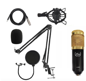 Lea L-4800 Condenser Mikrofon Seti - 1
