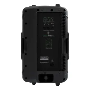 Mackie SRM450v3 12