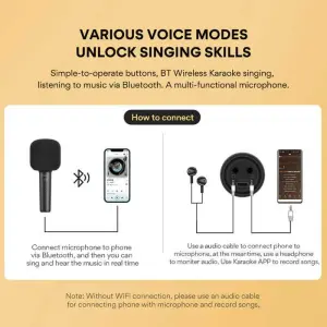 Maono MKP100 Karaoke Mikrofonu - 3