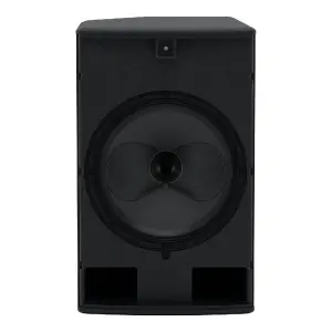 Martin Audio CDD-LIVE 15 15 inç Aktif Koaksiyel Diferansiyel Dağılım Hoparlör - 1