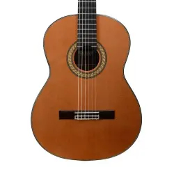 Martinez Madrid C Professional Serisi Klasik Gitar - 3