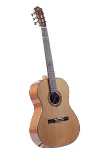 Martinez MP-1 PRE Klasik Gitar - 3
