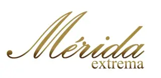 Merida Cardenas C-5DC Akustik Gitar - Merida