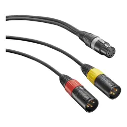 Neumann AC 20 5-Pin XLR Dişi - 2x 3-Pin XLR Erkek Adaptör Y Kablosu - Neumann
