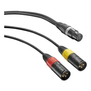 Neumann AC 20 5-Pin XLR Dişi - 2x 3-Pin XLR Erkek Adaptör Y Kablosu - 1