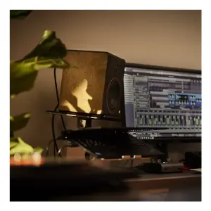 Palmer STUDIMON 5 – 5″ Aktif Yakın Alan Stüdyo Monitörü (Tekli) - 12