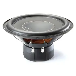 Pioneer TS-D12D4 12” Bileşen Subwoofer - 2