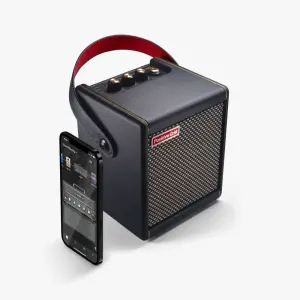 Positive Grid Spark 10 Watt Taşınabilir Akıllı Gitar Amfisi ve Bluetooth Hoparlör (Siyah) - 2