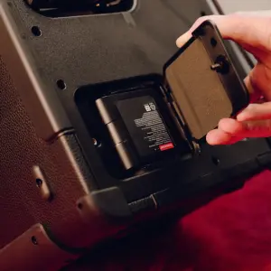 Positive Grid Spark Batarya - 4