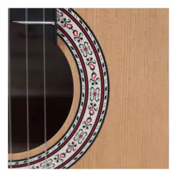 Prodipe Primera 4/4 Klasik Gitar - 4