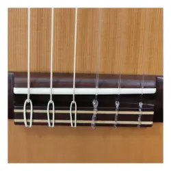 Prodipe Primera Student 4/4 Klasik Gitar - 4