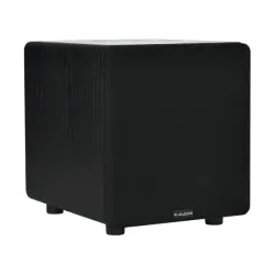 R+ AUDIO SW 101 Aktif Subbass Hoparlör - 2