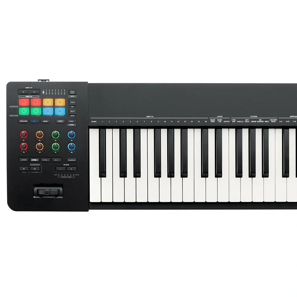 Roland A-88 MKII MIDI Klavye - 2